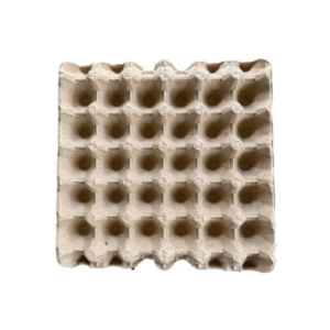 Paper Egg Holder Storage Container Size: 10 Grids